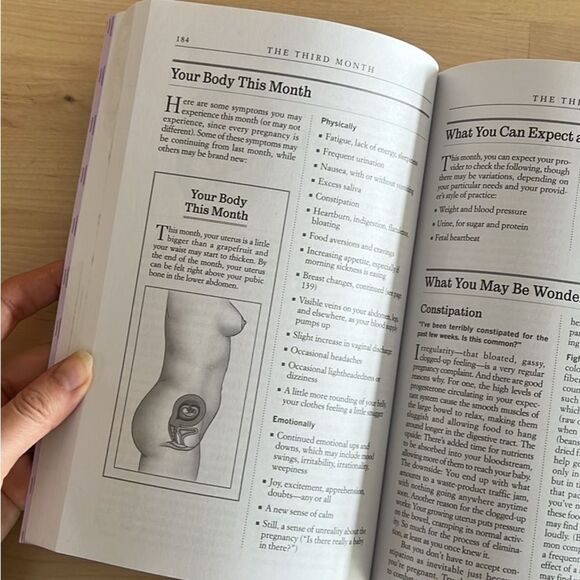 What to expect when you’re expecting all in one pregnancy guide new - Picture 5 of 5